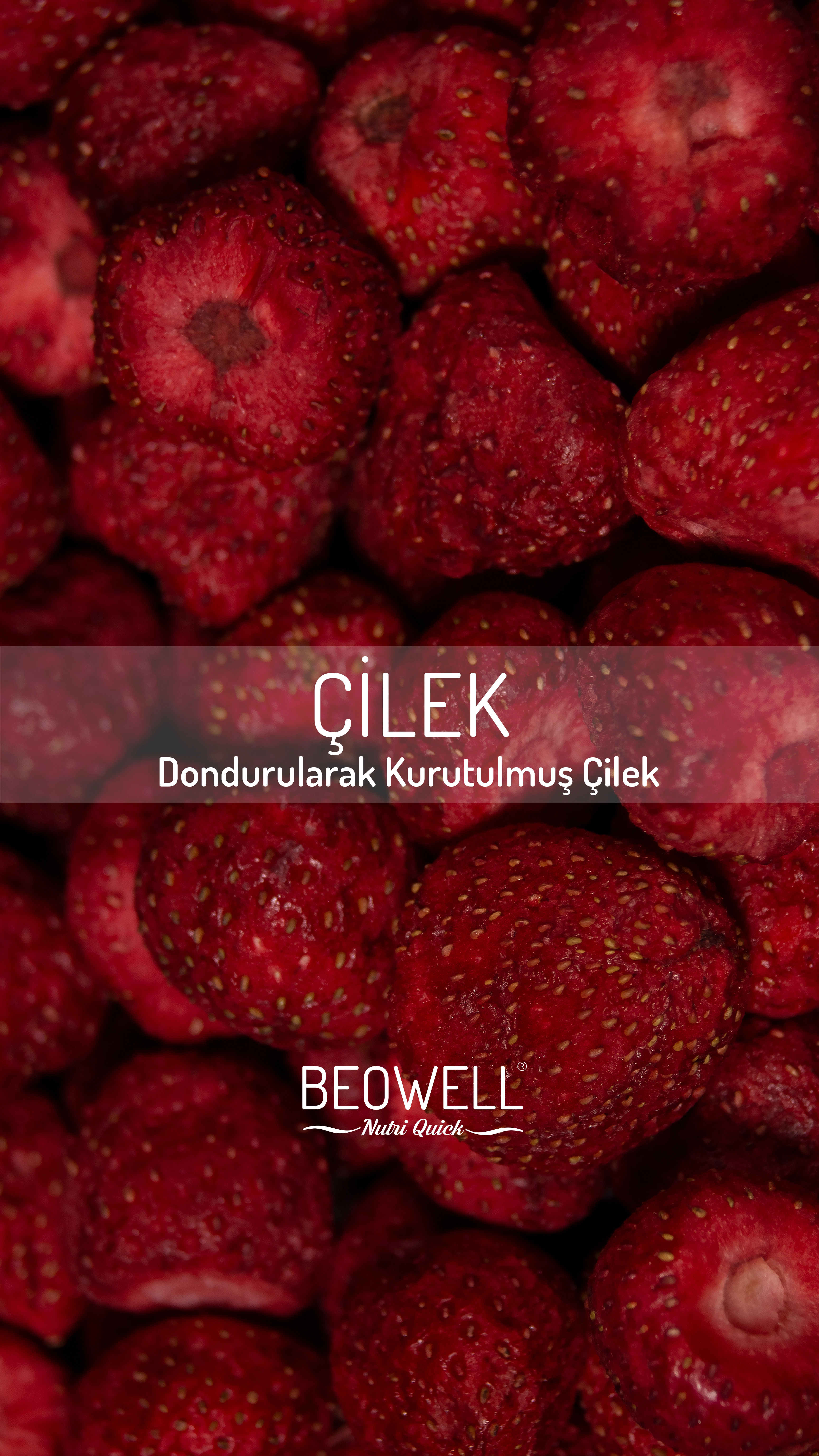 BEOWELL NUTRİ QUİCK - ÇİLEK