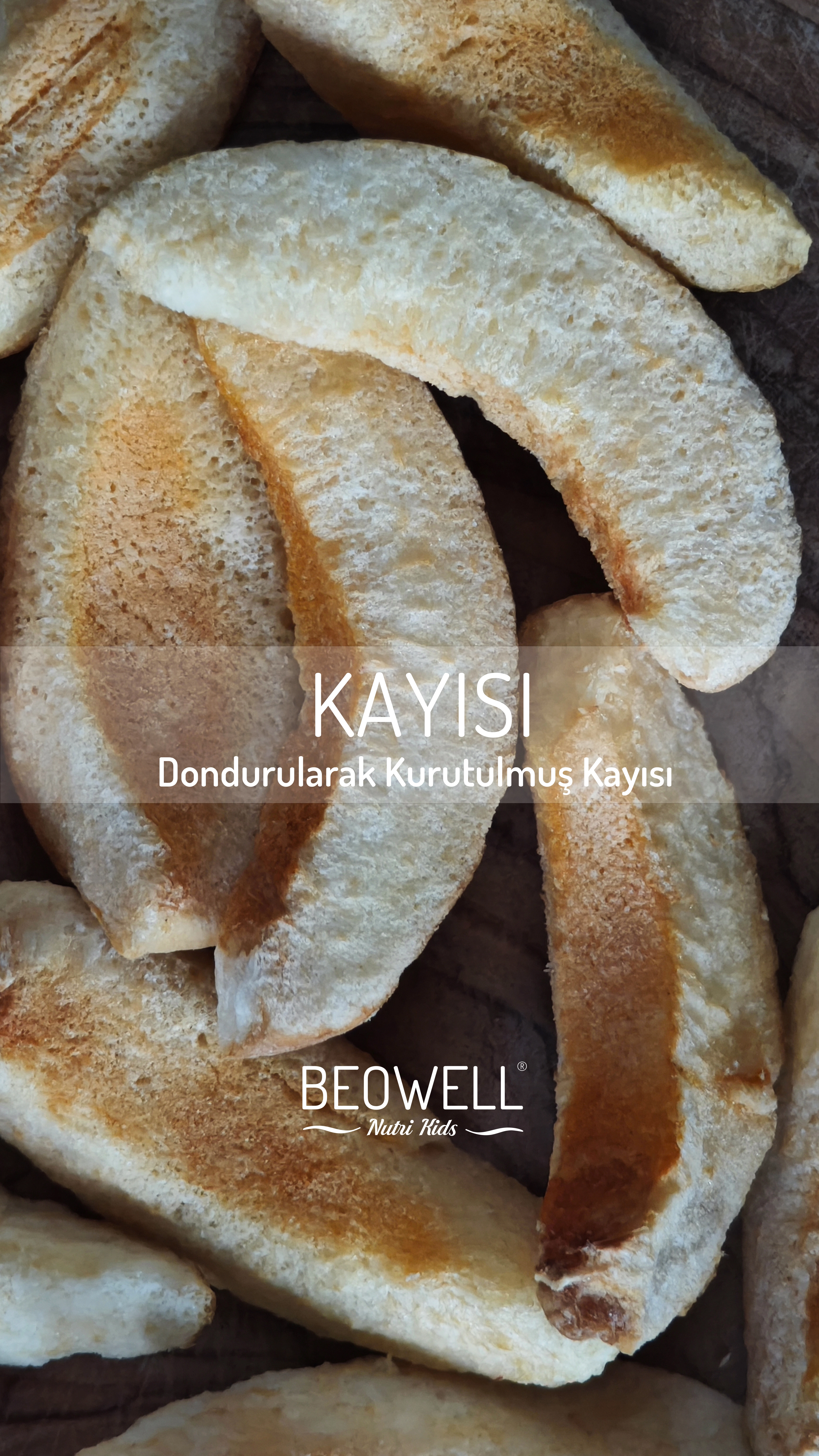 BEOWELL NUTRI KIDS - KASLI KAYİ