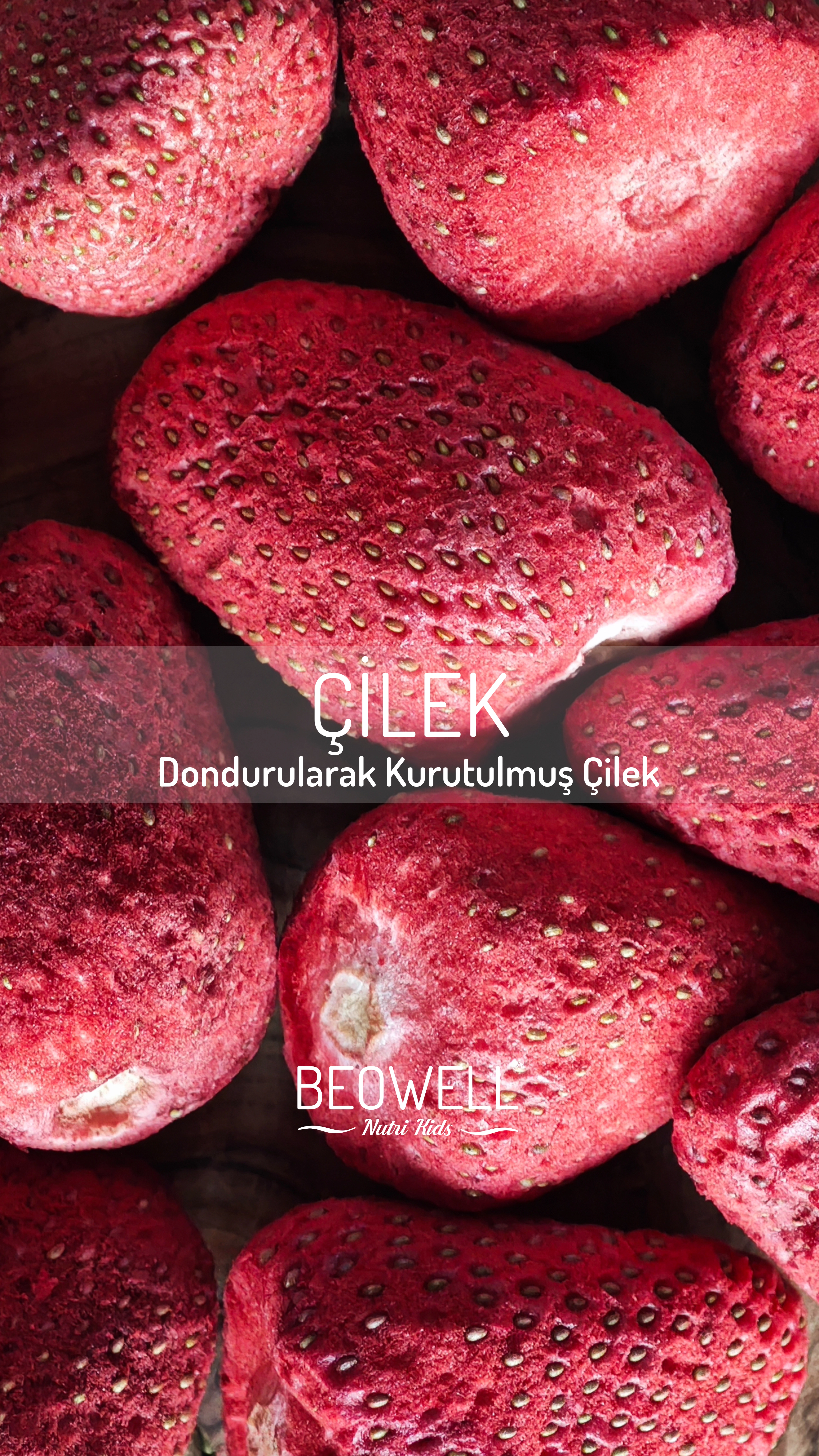 BEOWELL NUTRI KIDS - MUCİZE ÇİLO