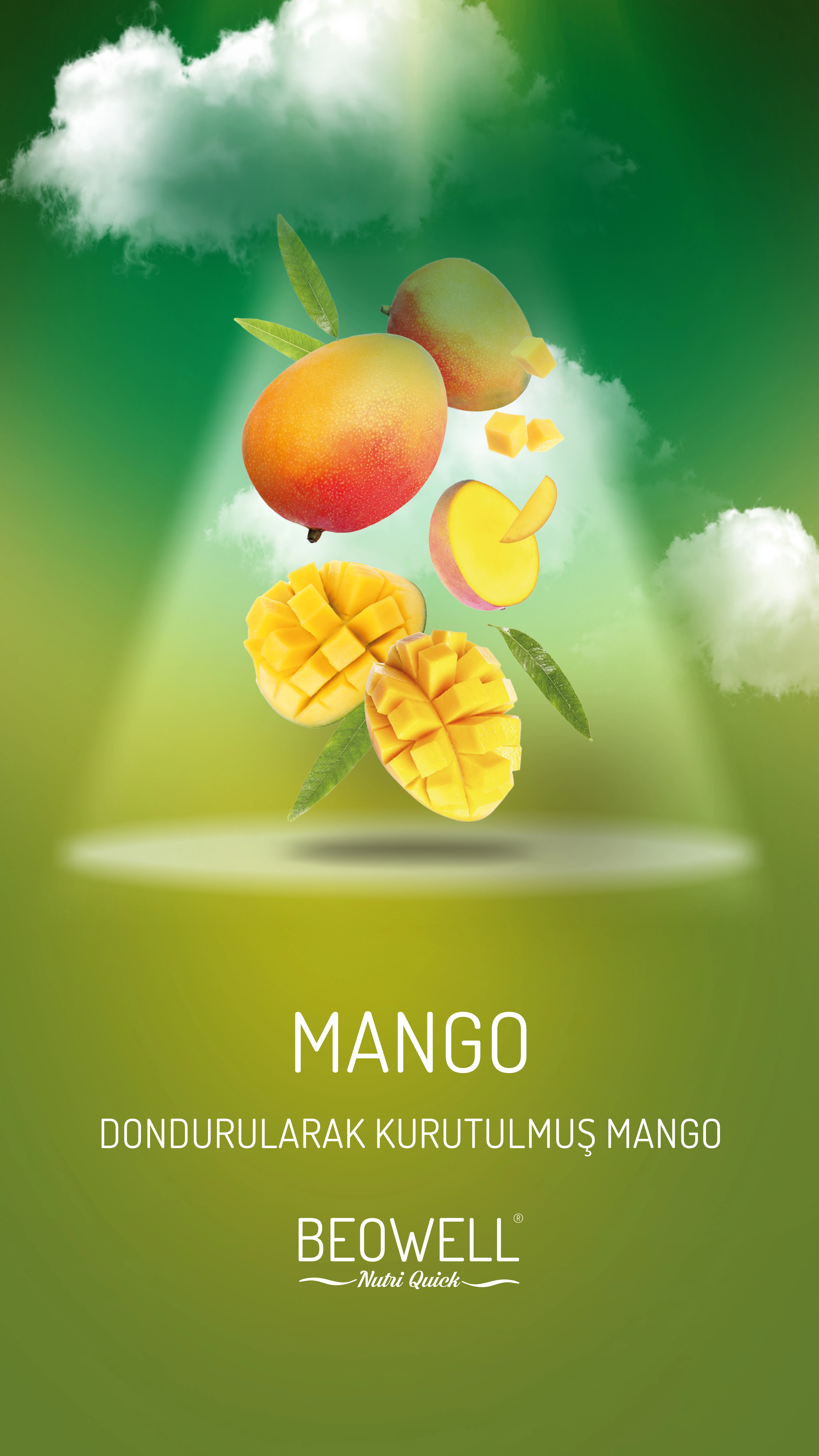 BEOWELL%20NUTRİ%20QUİCK%20-%20MANGO