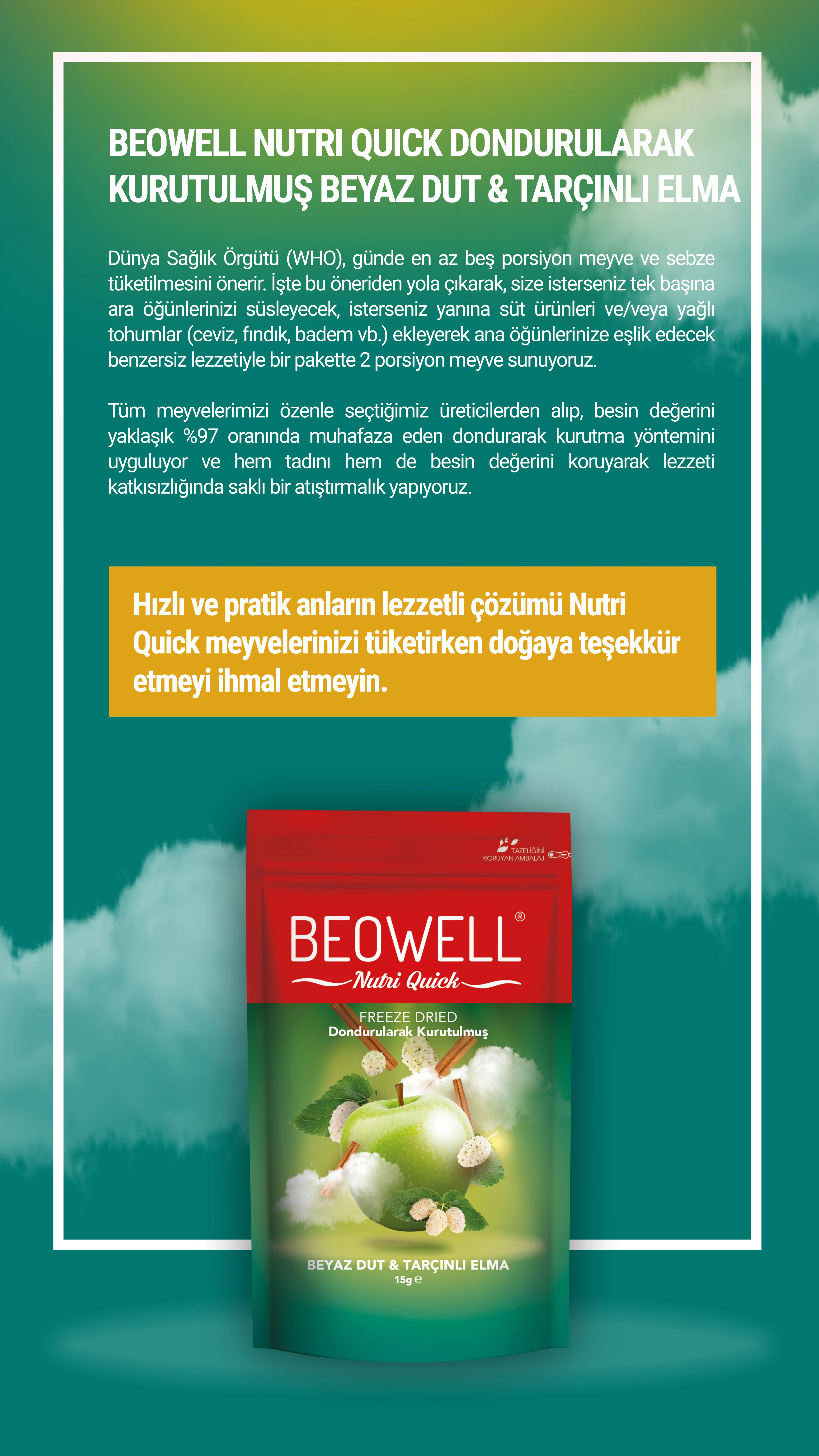BEOWELL%20NUTRI%20QUICK%20-%20BEYAZ%20DUT%20&TARÇINLI%20ELMA