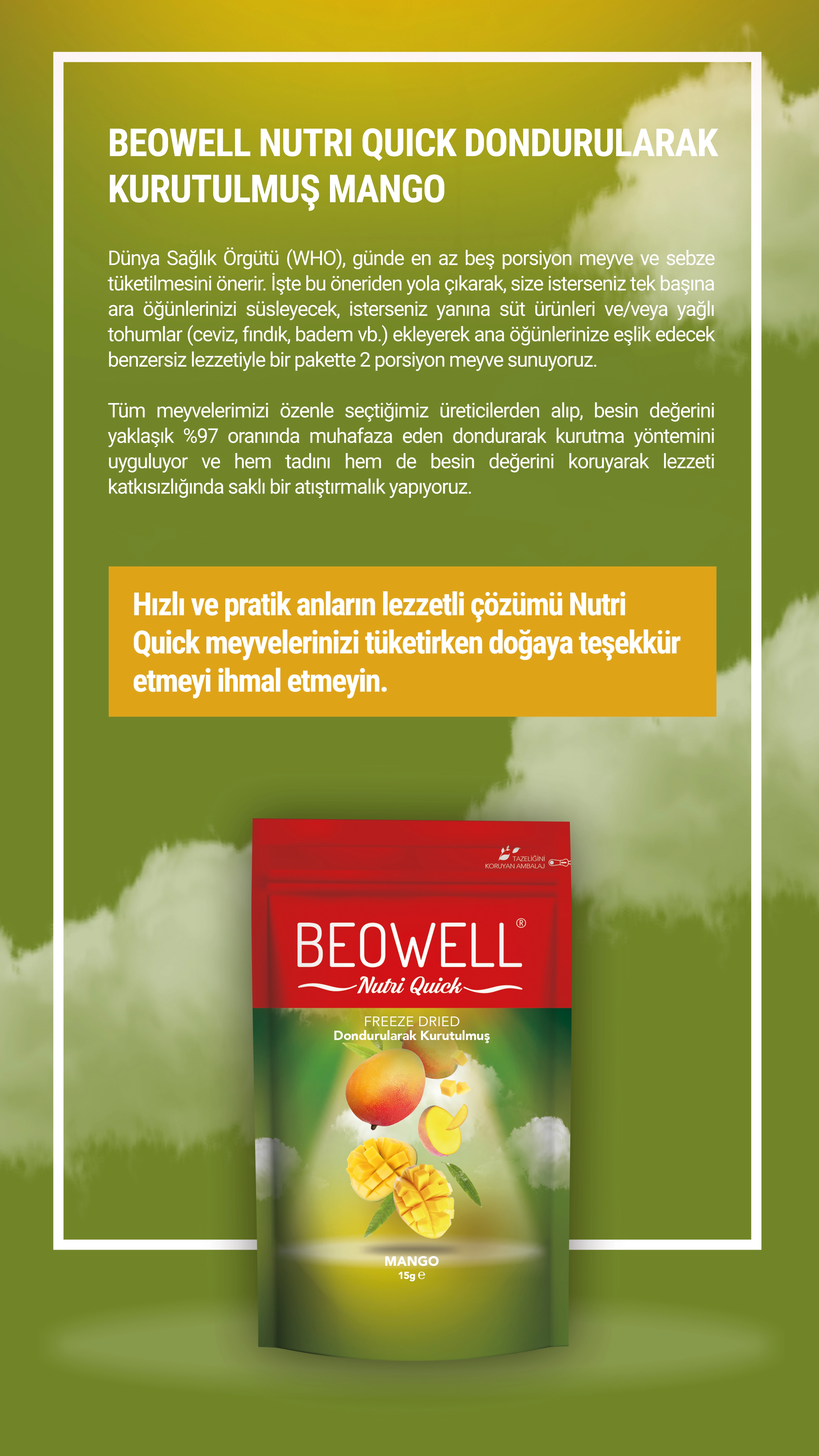 BEOWELL%20NUTRİ%20QUİCK%20-%20MANGO