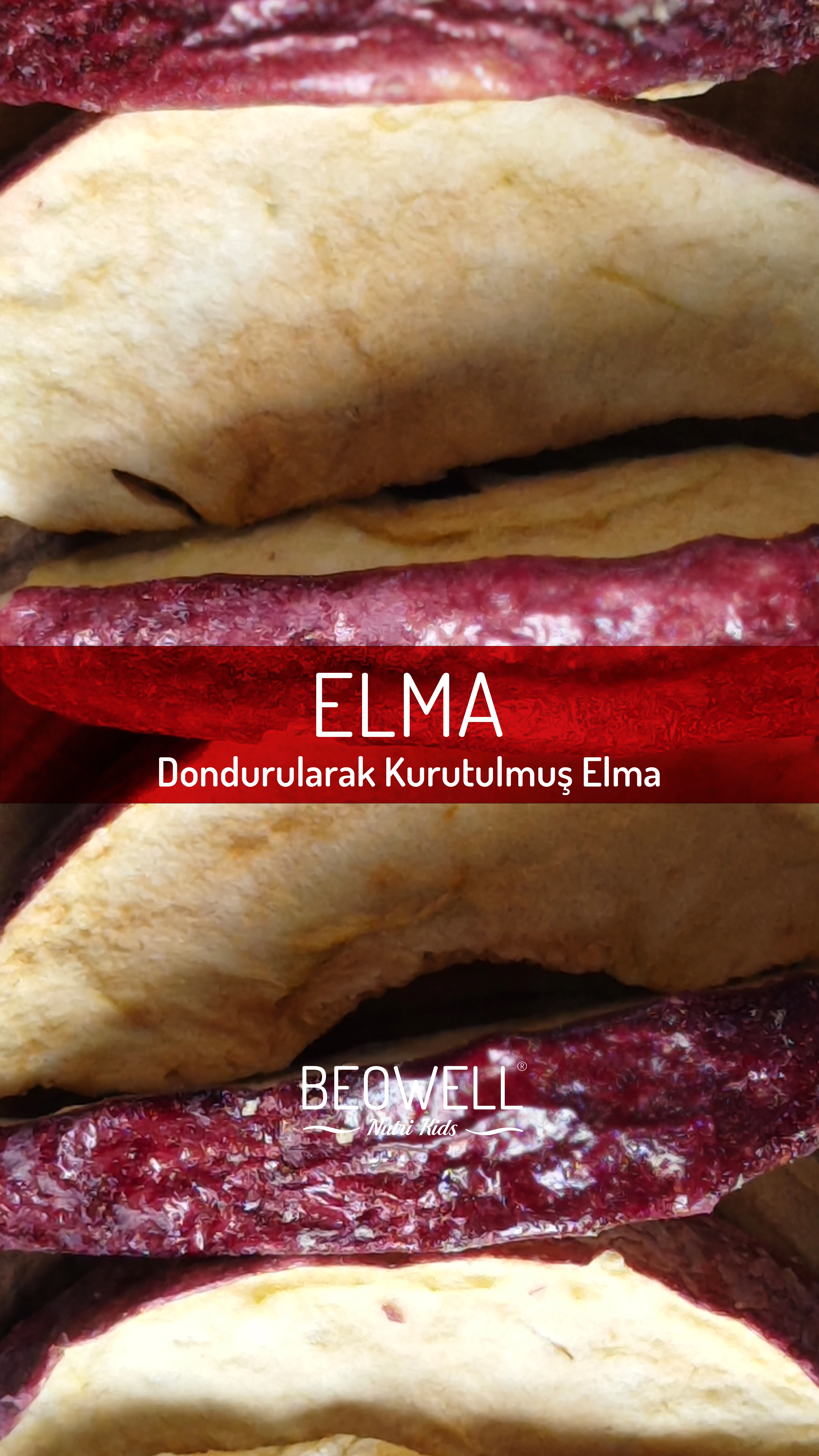 BEOWELL NUTRI KIDS - ARILARIN DOSTU ELANO