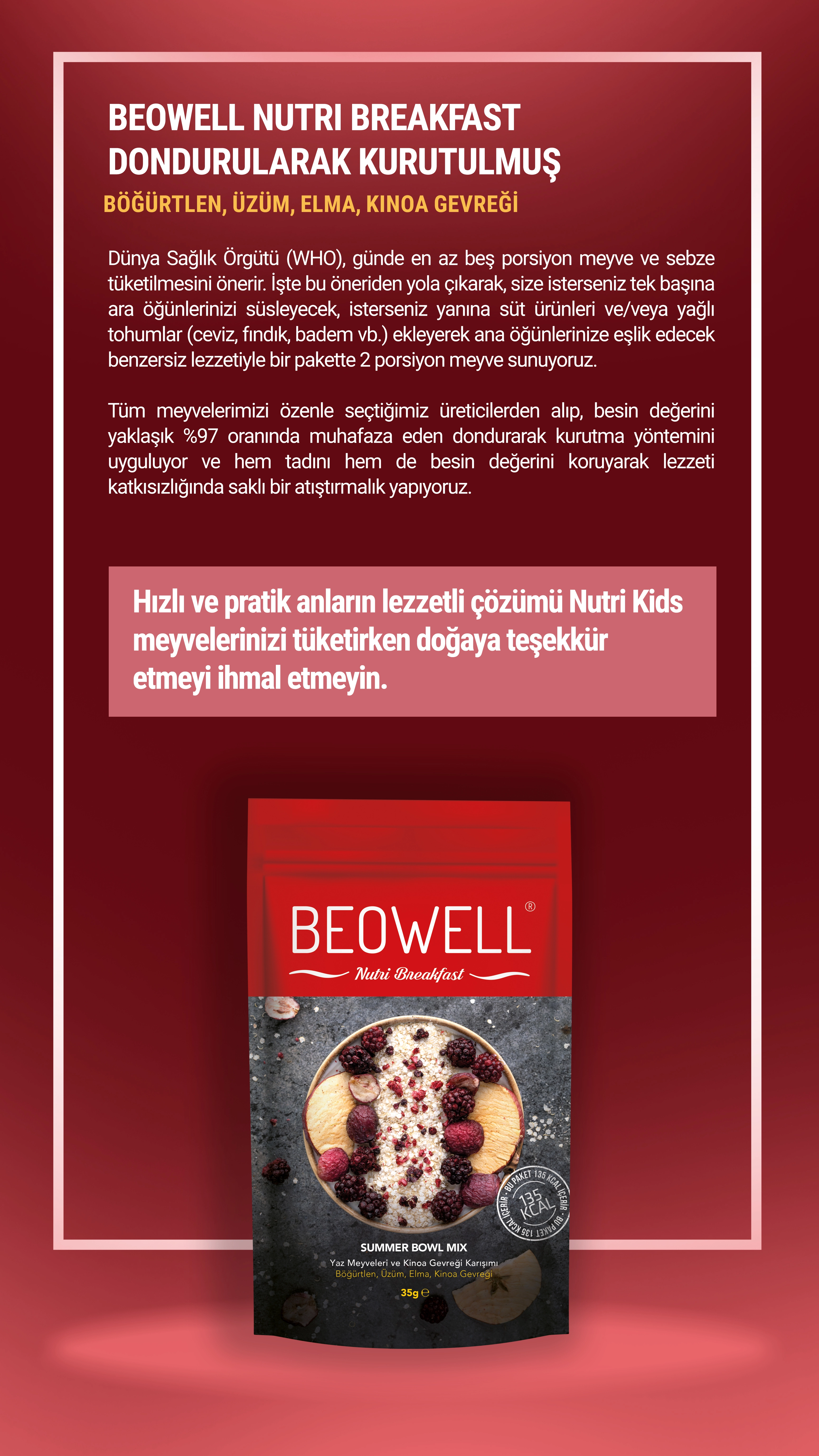 BEOWELL%20NUTRI%20BREAKFAST%20-%20SUMMER%20BOWL%20MIX