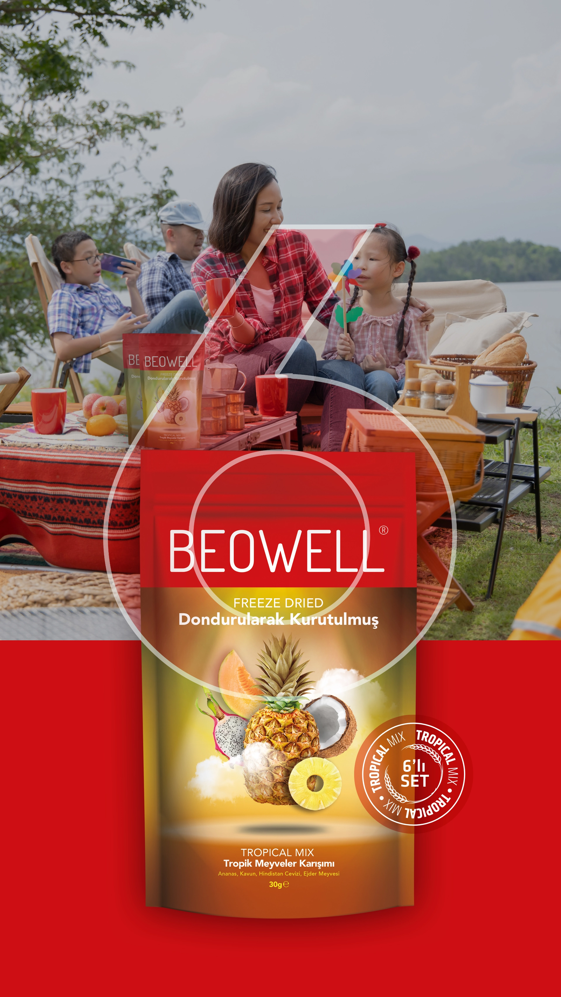 TROPICAL MIX 6’LI SET  | ANANAS, KAVUN, HİNDİSTAN CEVİZİ VE EJDER MEYVESİ | TROPİK MEYVELER KARIŞIMI|